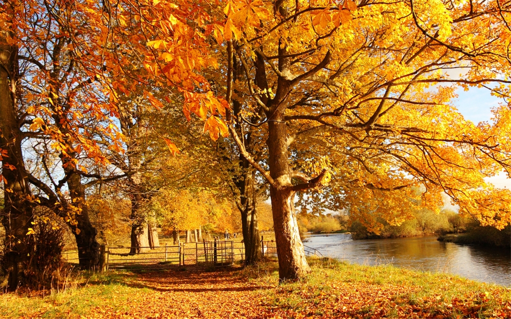 秋天的美景图片大全高清宽屏电脑桌面壁纸下载第二辑