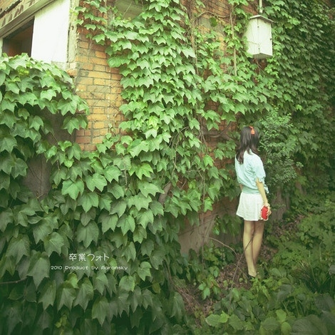 此生棠棣开荼蘼，三遍荣华不如你。