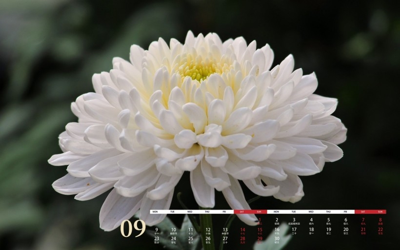 2019年9月护眼日历桌面壁纸