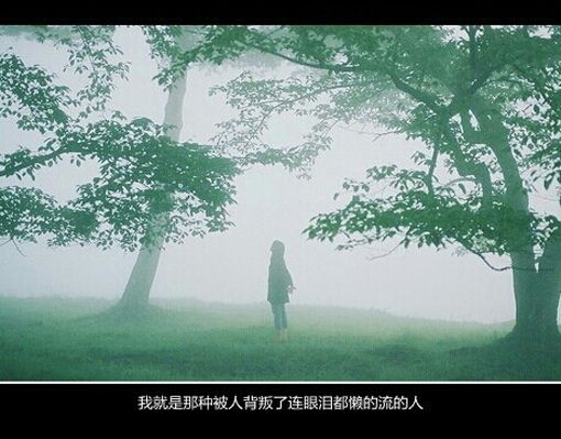 我抱着你给我的世界，却始终找不到我的归宿