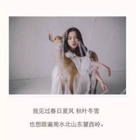 说过要保护我，可后来风大浪大都是你给的