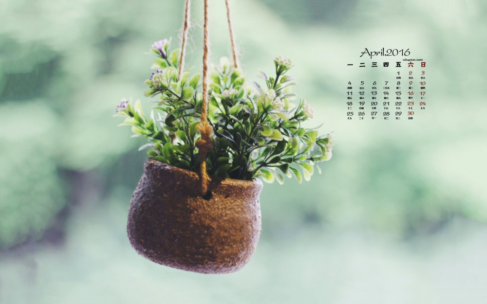 2016年4月日历小植物电脑壁纸图片下载
