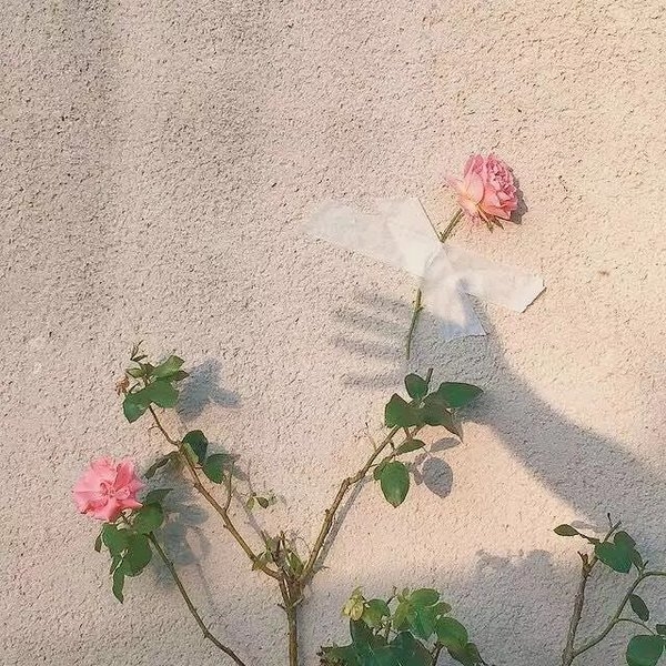 我们的距离离得很近，我们的感情离得很远