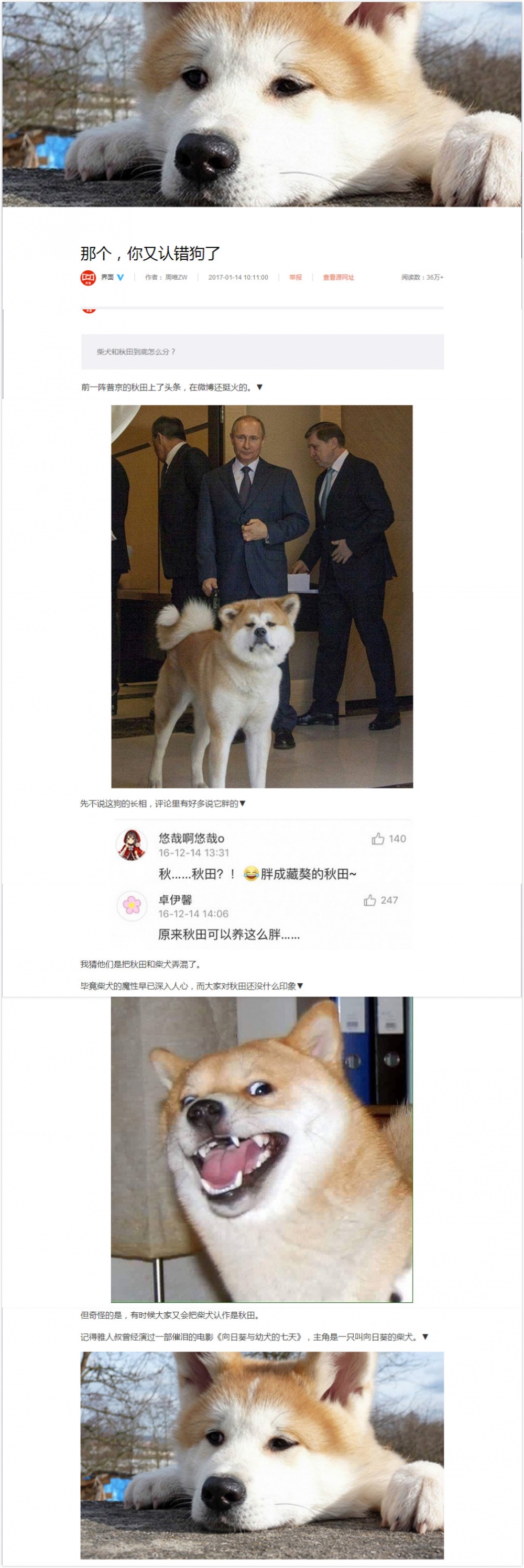 那个，你又认错狗了!!!!