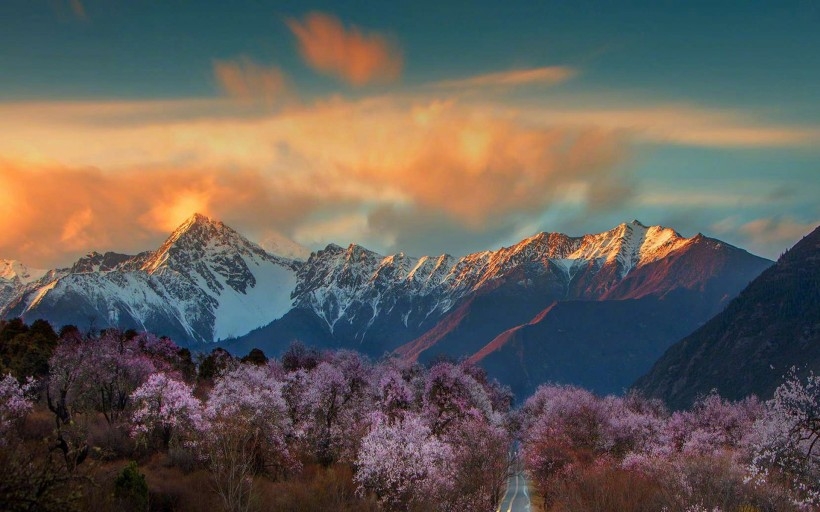 西藏林芝桃花风景高清电脑桌面壁纸