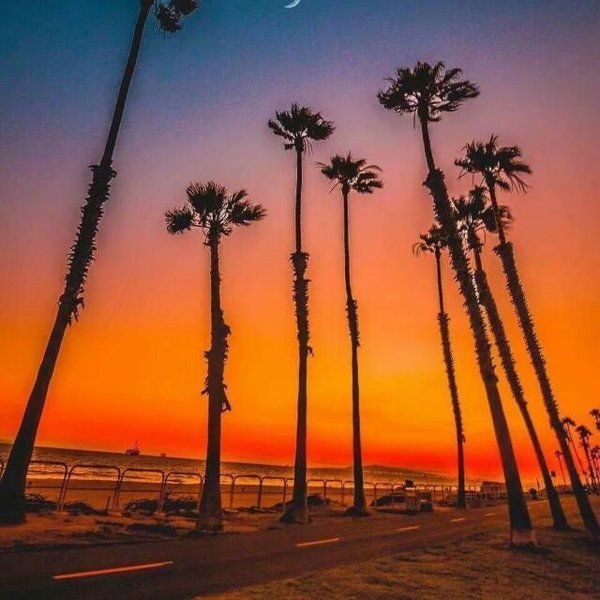 欧美夕阳下的公路唯美意境图片