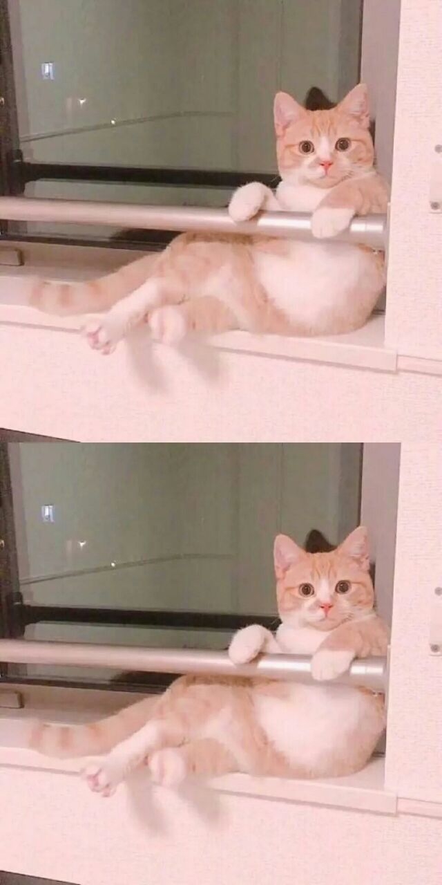主题是粉色.