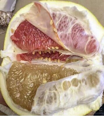 黄柚和血柚杂交的？