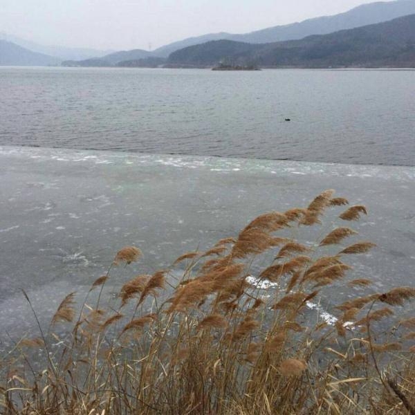 背景图.01