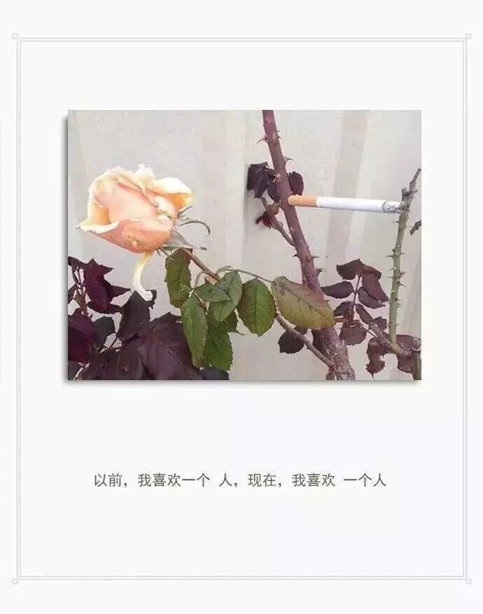 淹不上心头。