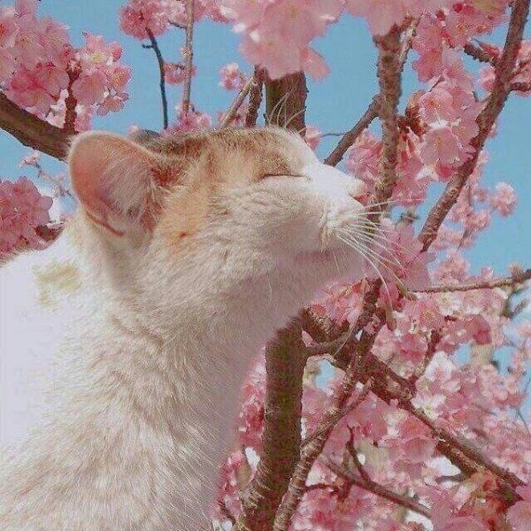 背景图.01