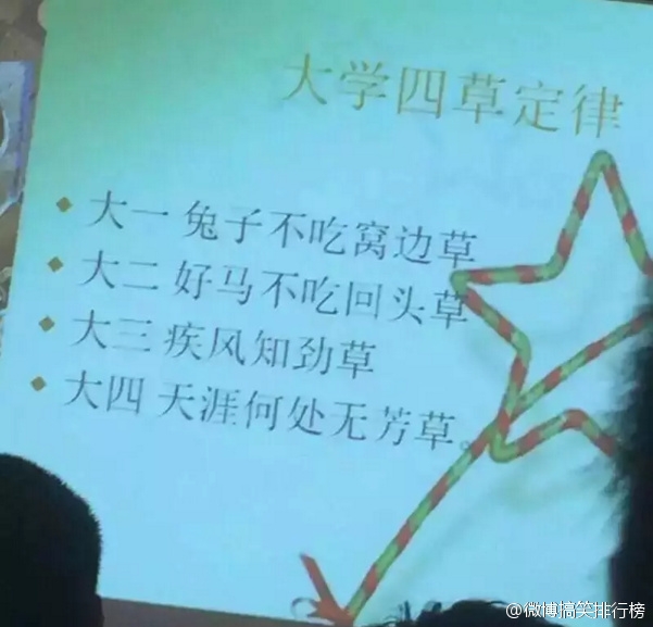 大学里的几个定律 看完竟无力反驳