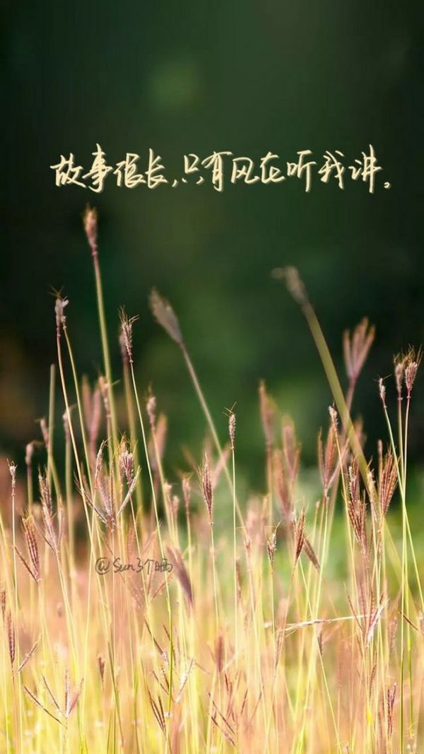 时间，终于冲淡了喜欢