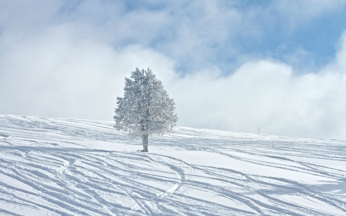 冬日绝美雪景摄影电脑壁纸