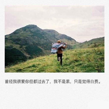 久伴必定生情，多言始于厚爱。
