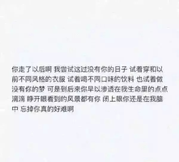 胖胖：我希望你会如此