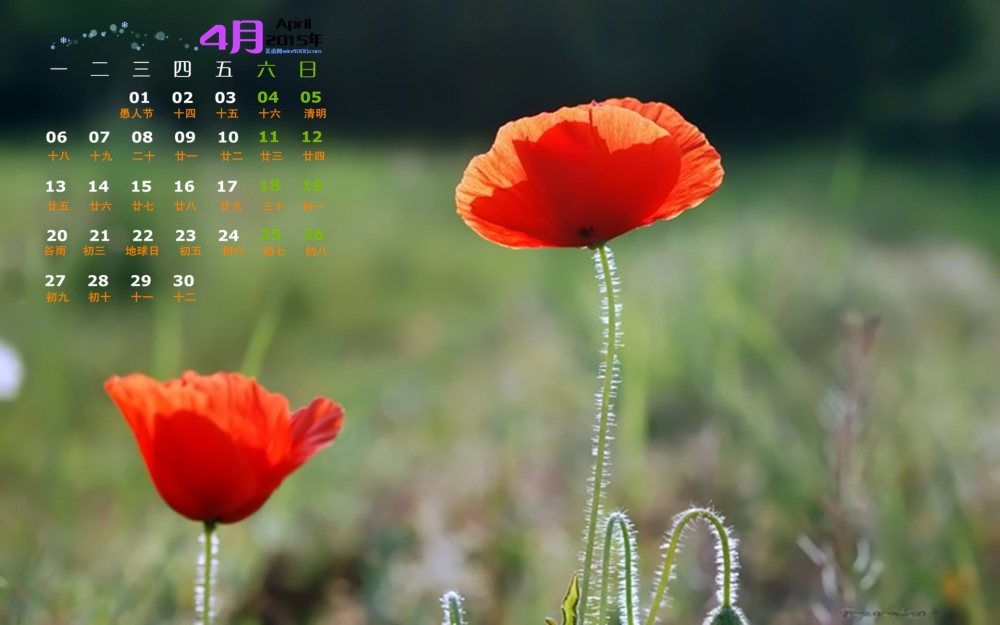 2015年4月日历能净化心灵的清新唯美植物花朵高清屏保电脑桌面壁纸图片