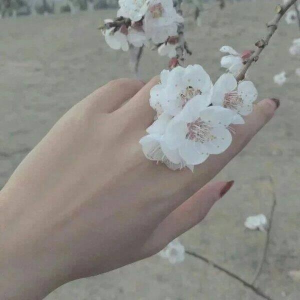 背景图.01