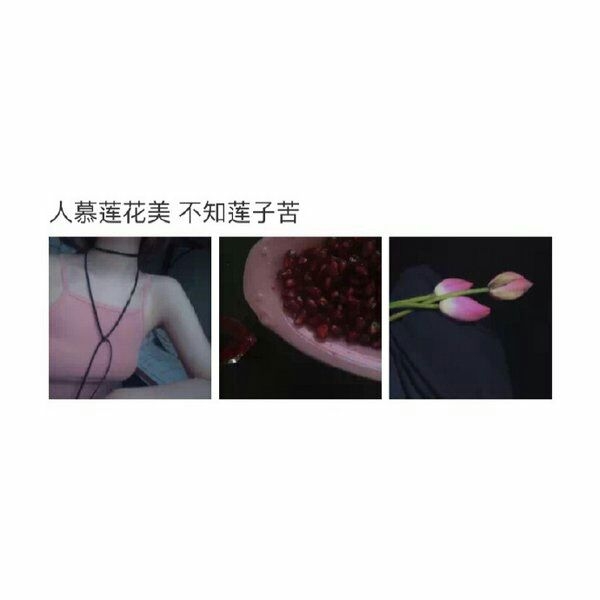 九分喜欢一分尊严.