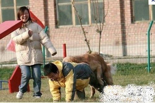 笑嗨图片