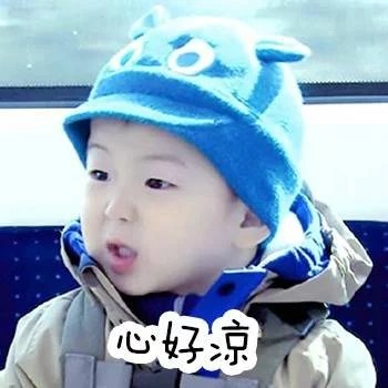 简直不敢相信，我养了一群废物~