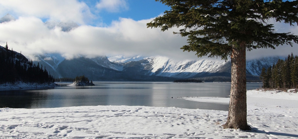 天空,云,山,冬季,湖,岛屿,树,雪山,风景壁纸