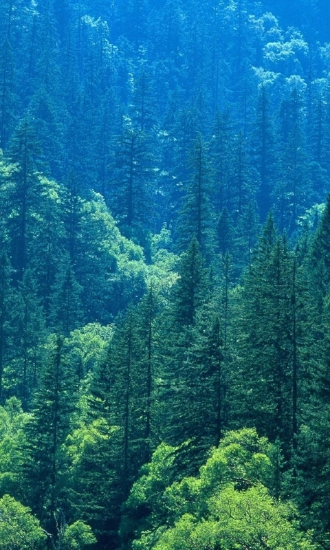 自然山水风光美景高清手机壁纸