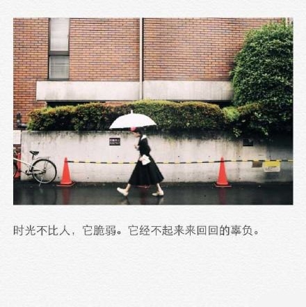 久伴必定生情，多言始于厚爱。