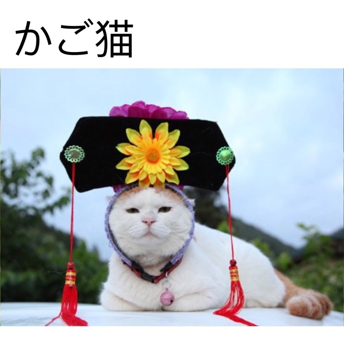 看不见我     看不见我