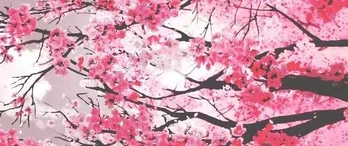 真感情才没有话题