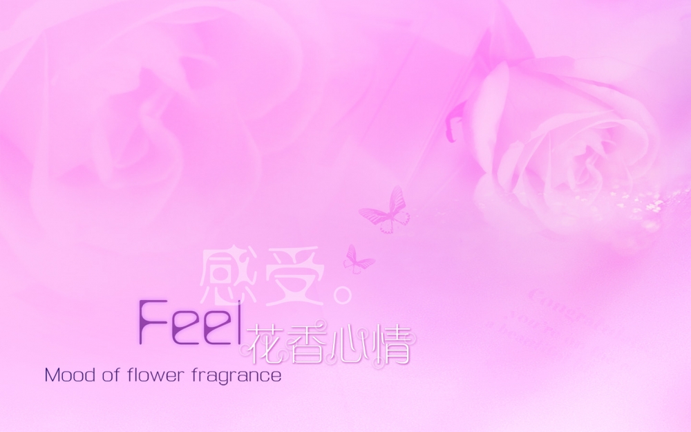 爱的主题 第六辑