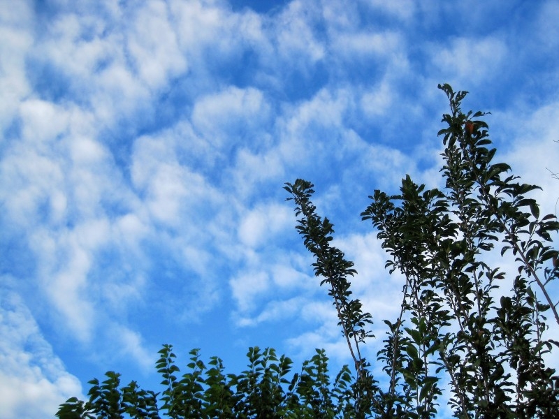 天空中的白云唯美风景图片