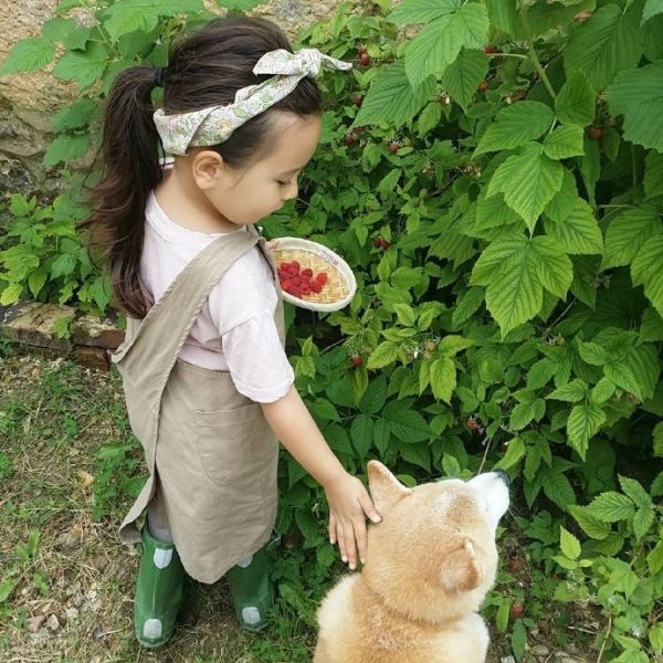 可爱的小萝莉与小柴犬的故事图片