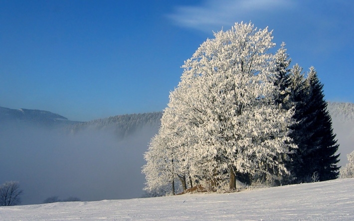 冬季的捷克风景壁纸图片