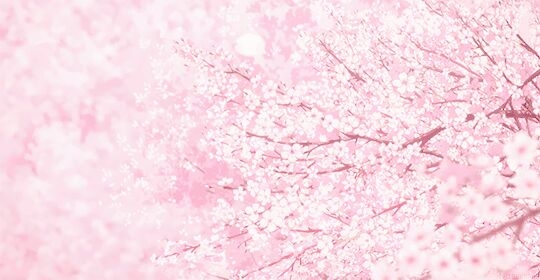等他     鲜花    繁星    祈祷