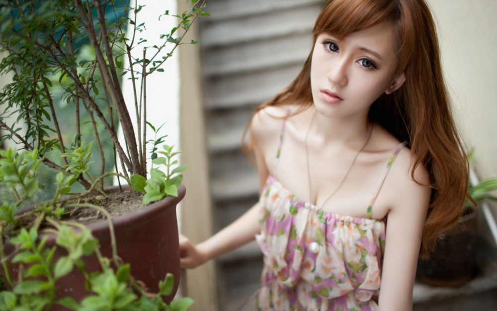 性感美女写真壁纸集合