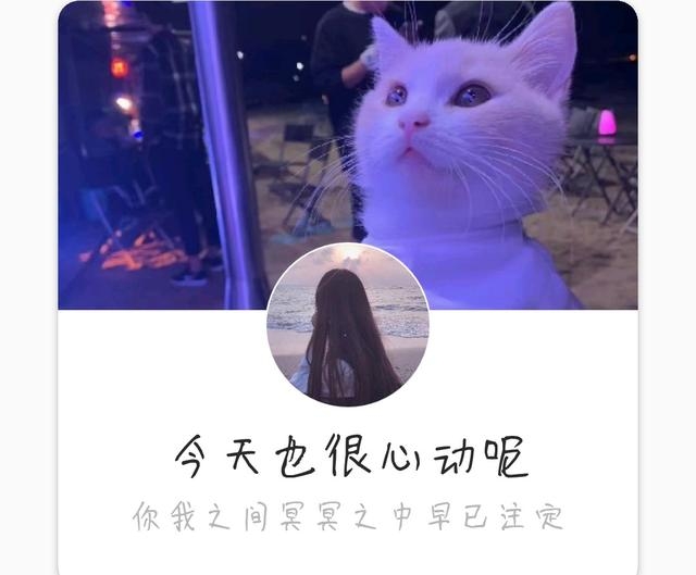七分爱情三分自尊非主流文字图片