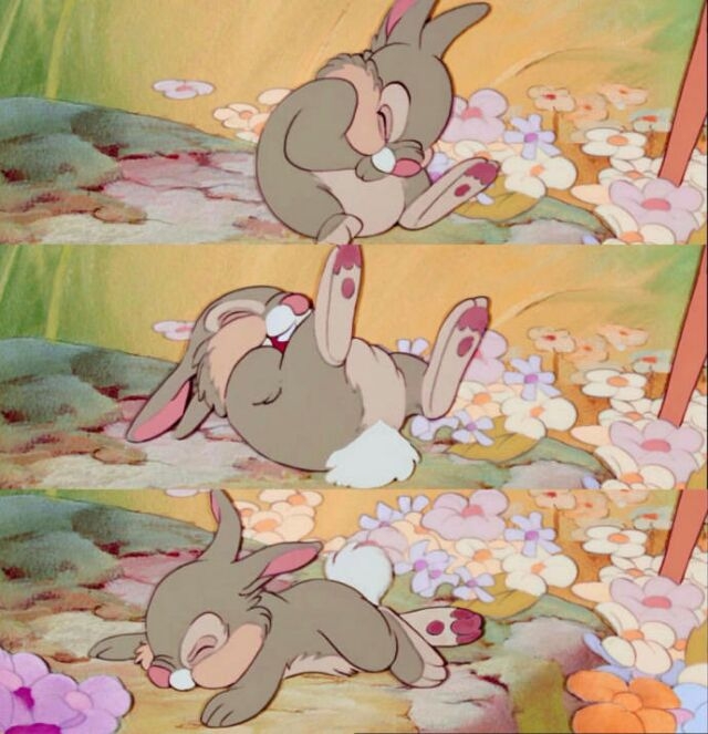 可爱的蓝猫玩偶图片