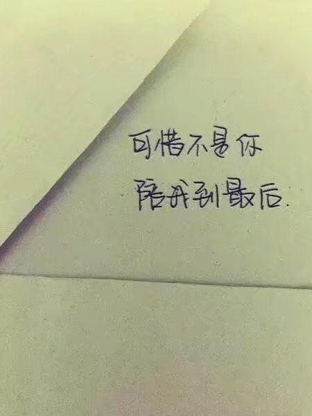 只因相思已入骨感情文字图片