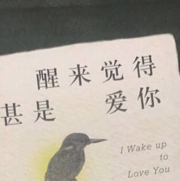 可以不乖但不可以学坏非主流文字图片