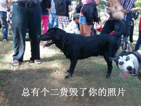 不知道为什么看完我居然顶了爆笑图片集