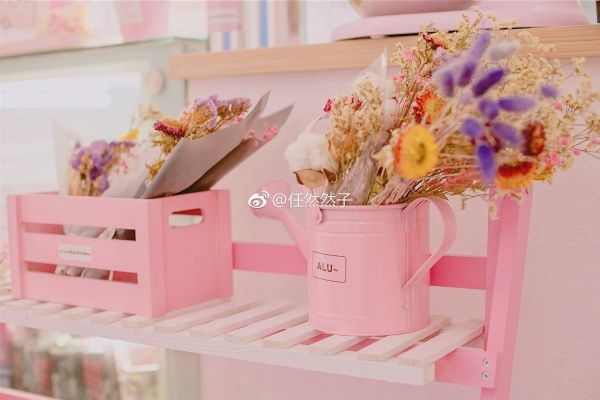 粉色少女心房间唯美意境图片