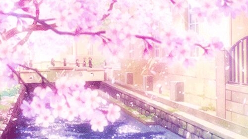 等他     鲜花    繁星    祈祷