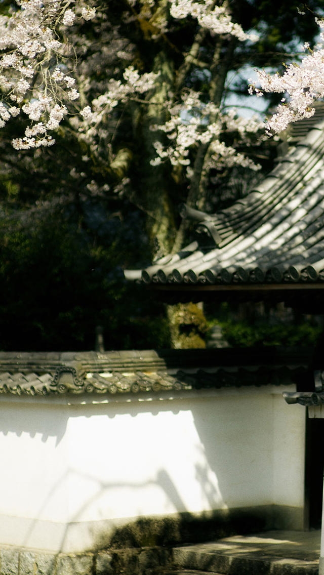 唯美新清的日式庭院风景手机壁纸高清下载