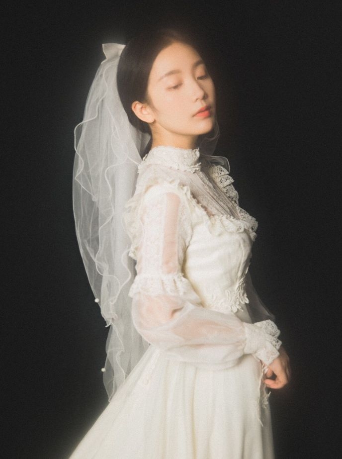 唯美的黑底公主型婚纱图片