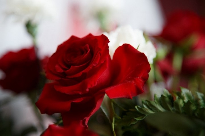 好看的玫瑰花束唯美鲜花图片赏析