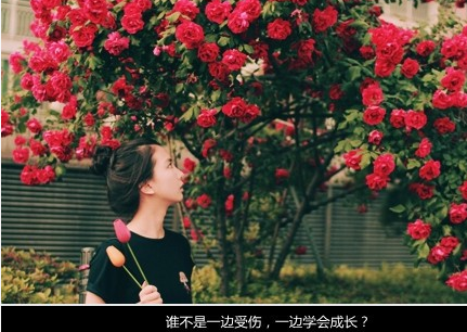 我爱你的所有