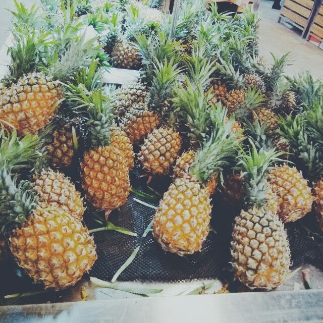 可爱的草莓唯美小清新图片