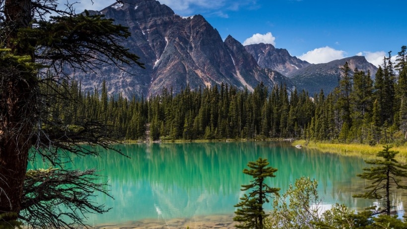 加拿大贾斯珀国家公园自然风景桌面壁纸