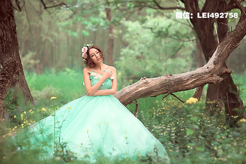 爱丽丝的故事野外森林婚纱照